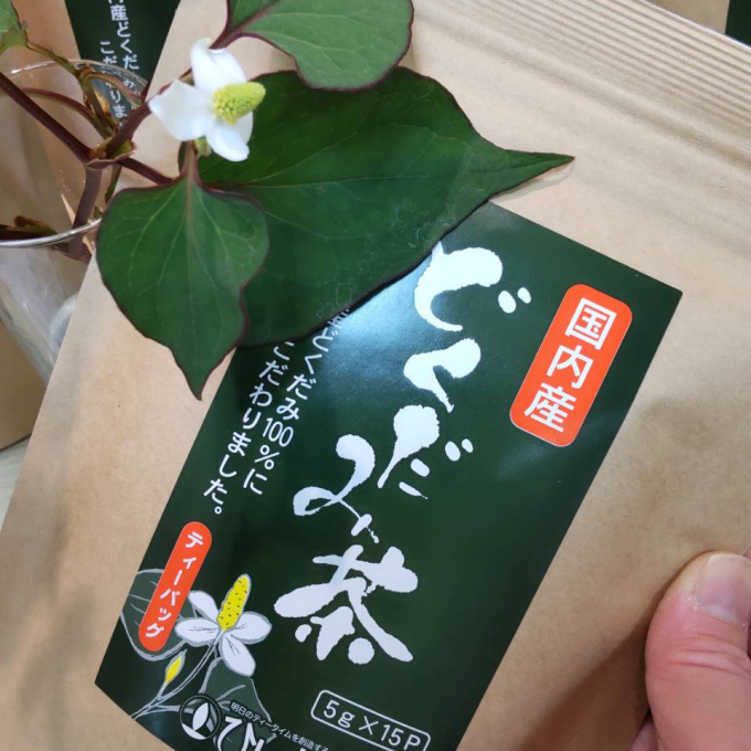 日本の三大薬草の一つ「どくだみ」の力！！