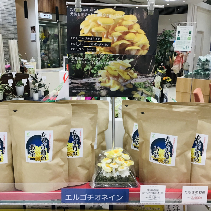北海道のスーパーきのこ「たもぎ茸」