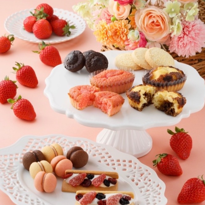 シーキューブ期間限定ショップ