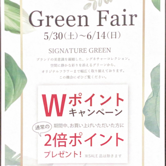 🌿Green    Fair 🌿