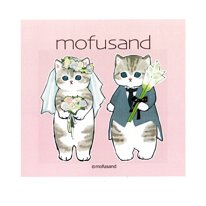 mofusand（モフサンド）ソックス🧦登場！