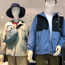 春物続々入荷中🌸