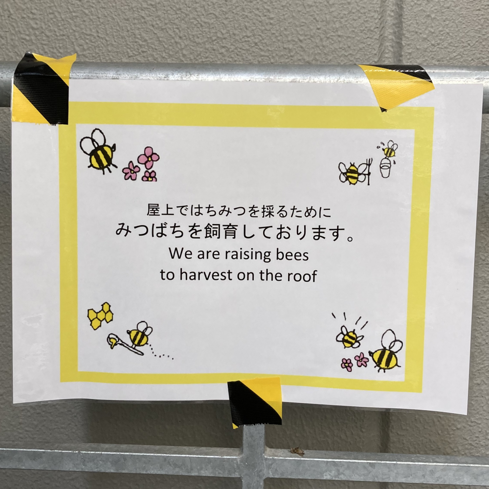 ミツバチの種類