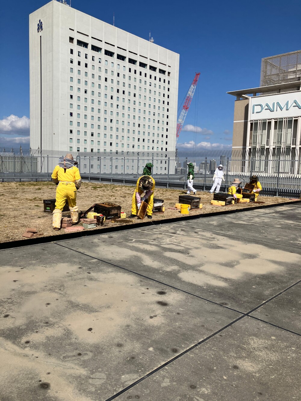 大丸心斎橋店屋上都市養蜂活動が始まりました