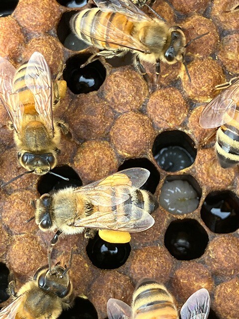 わたしたち「マルチカラー姉妹💛」、参上！！！