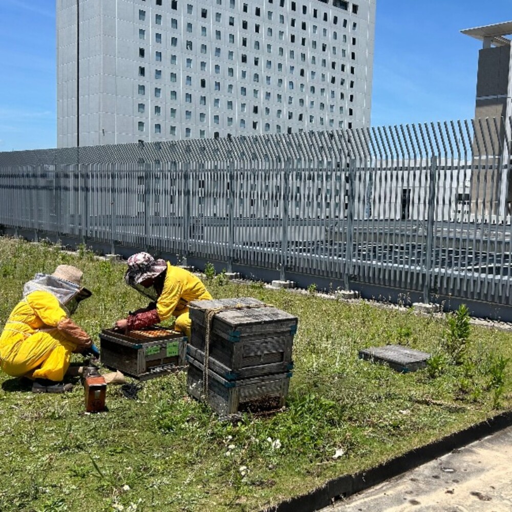さよならの準備😭