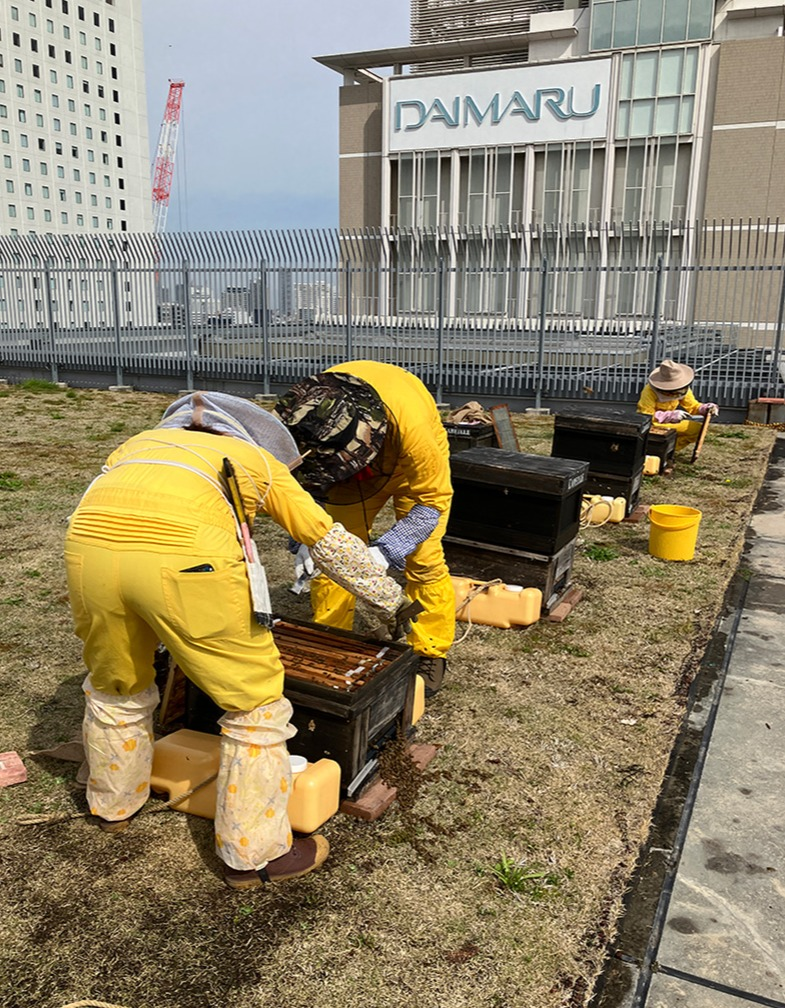 今週も晴天下で内検作業をおこなうことができました☀️