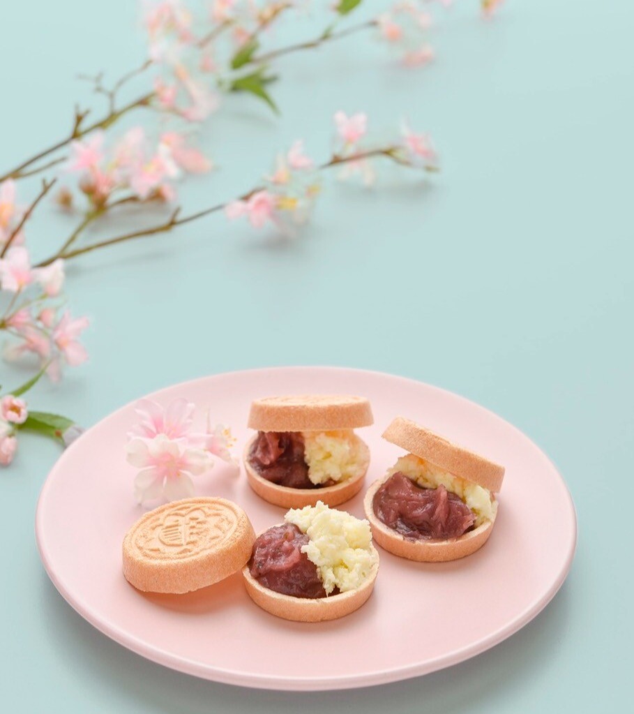 🌸あんぽーね(さくら)🌸