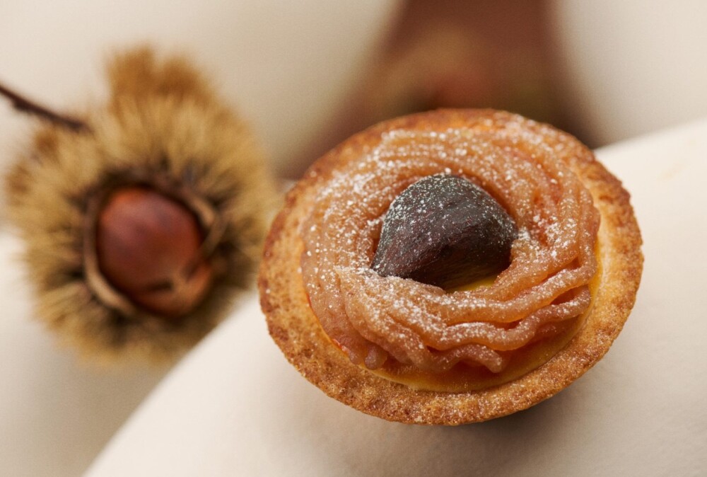 【BtS】🌰こっくり、ときめく。 モンブランチーズタルトが登場！🌰