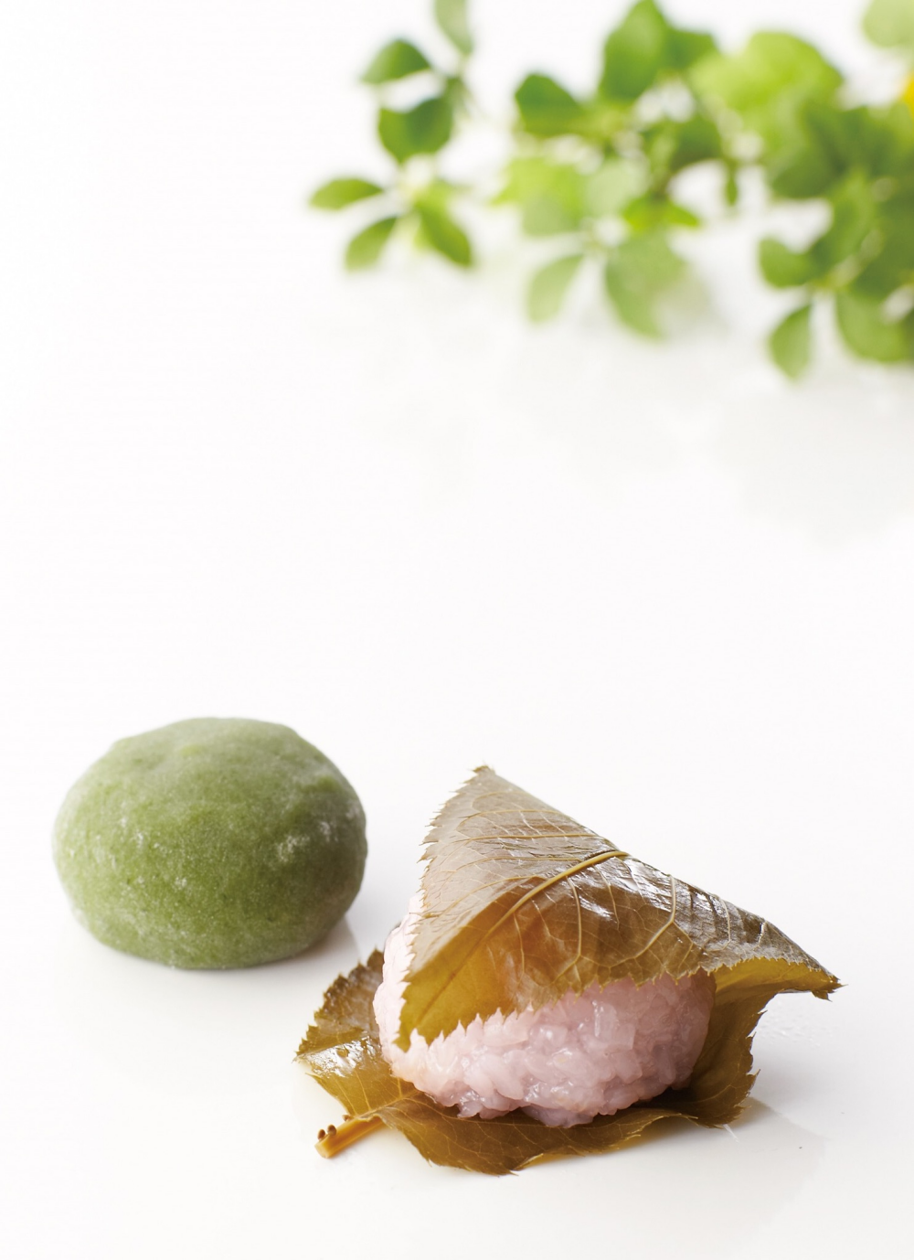 春限定🌸桜の和菓子🌸