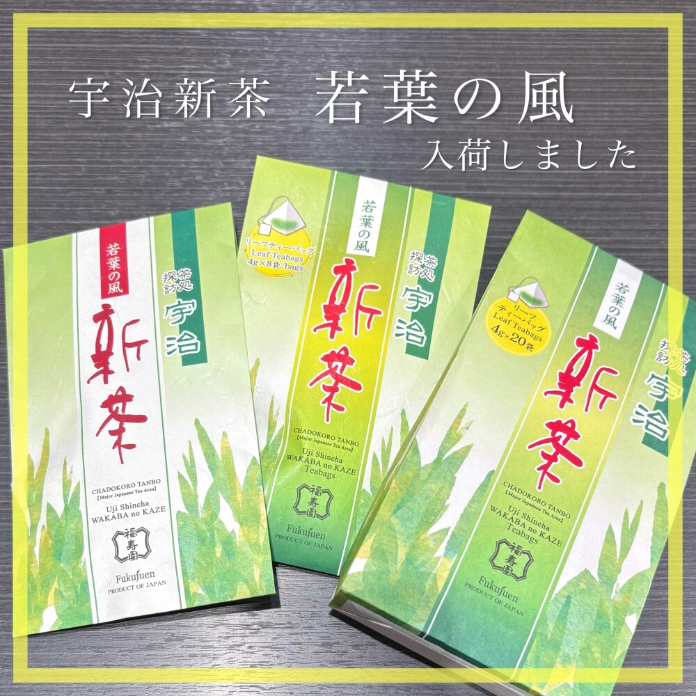 【入荷】宇治新茶 若葉の風 3種🍵