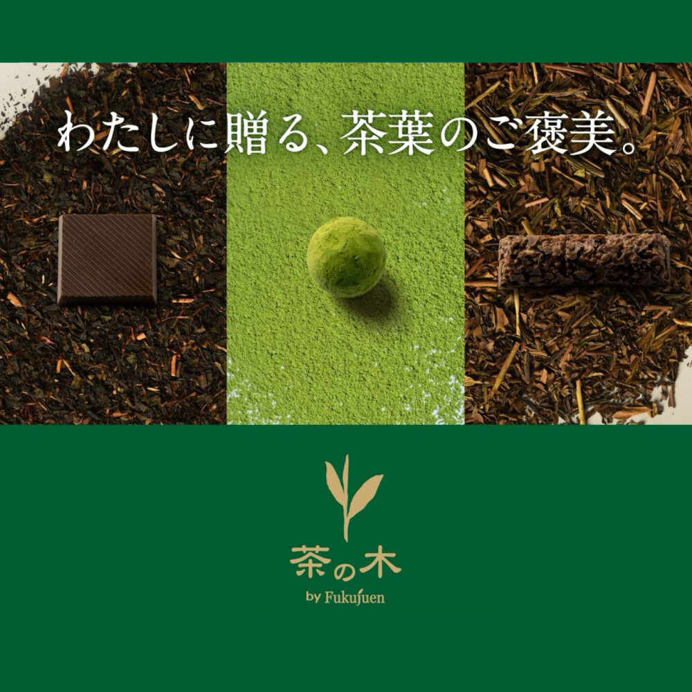 【入荷】2026 Chocolate Collection🍵