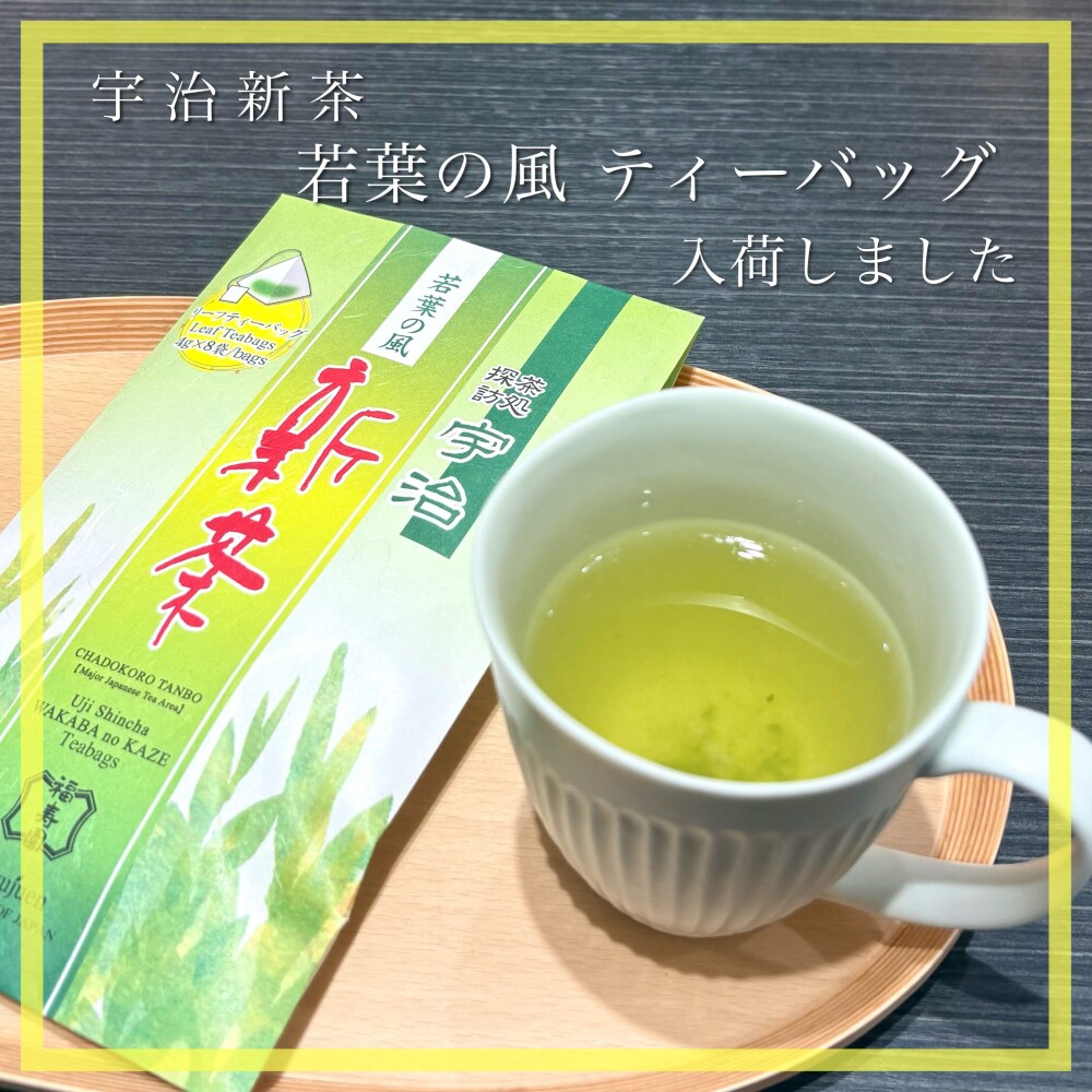 【入荷】宇治新茶 若葉の風 ティーバッグ🍵
