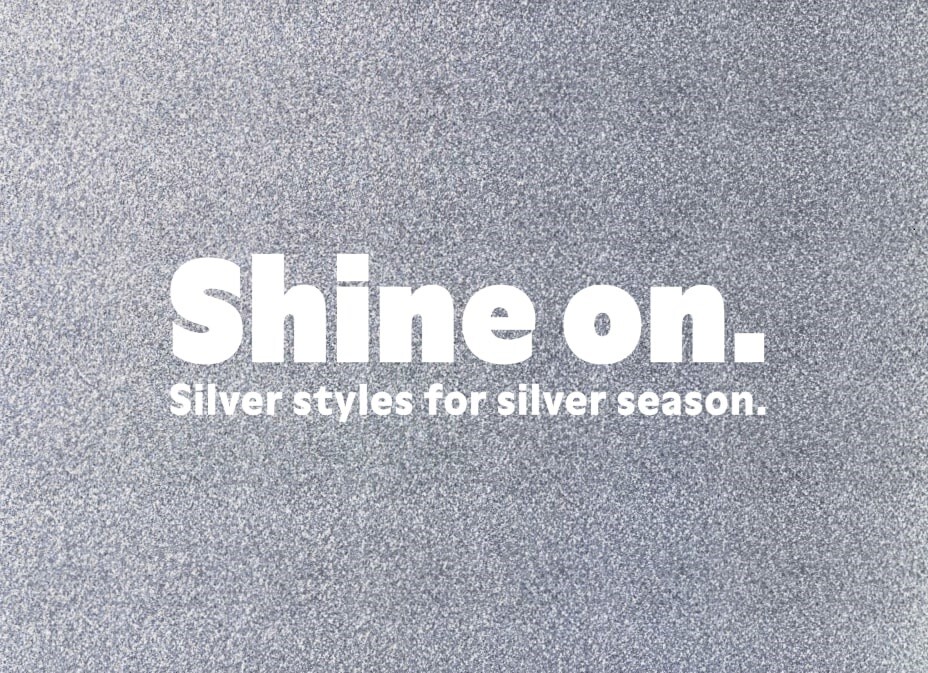 Silver Shoes✨