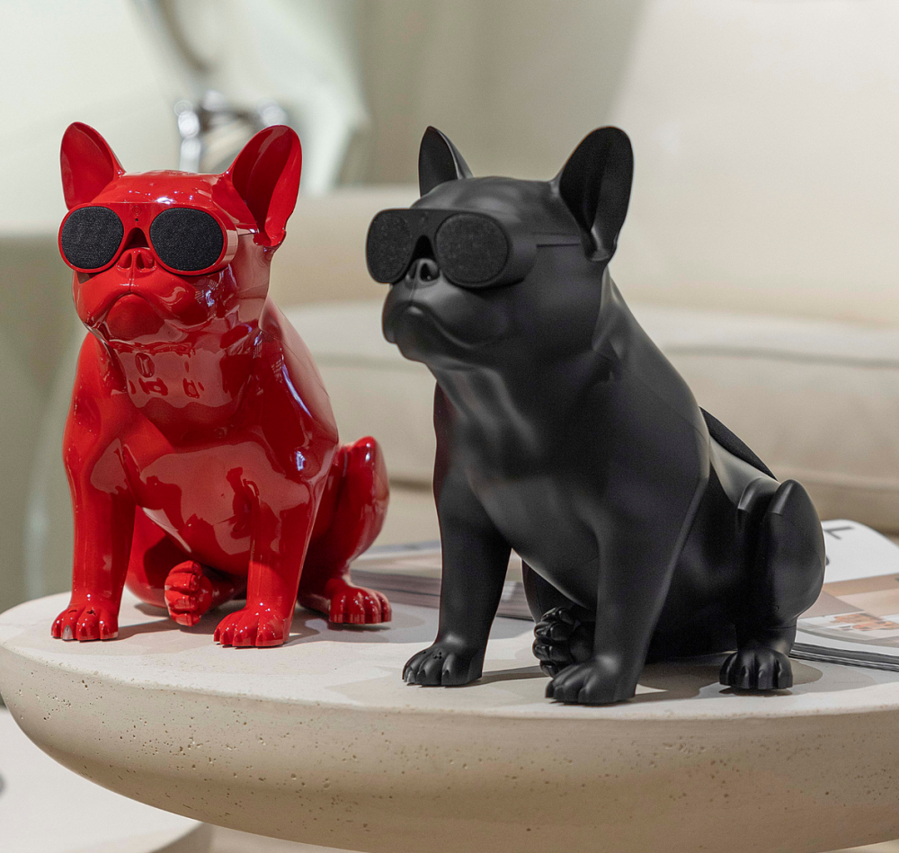 2月のプラスカーサです♪