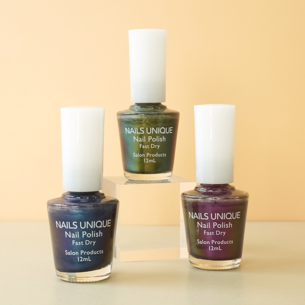 マグネットコレクション🌟