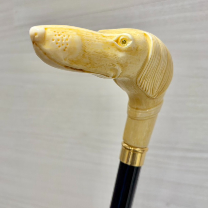 象牙色に宿る紳士の相棒🐶🐾