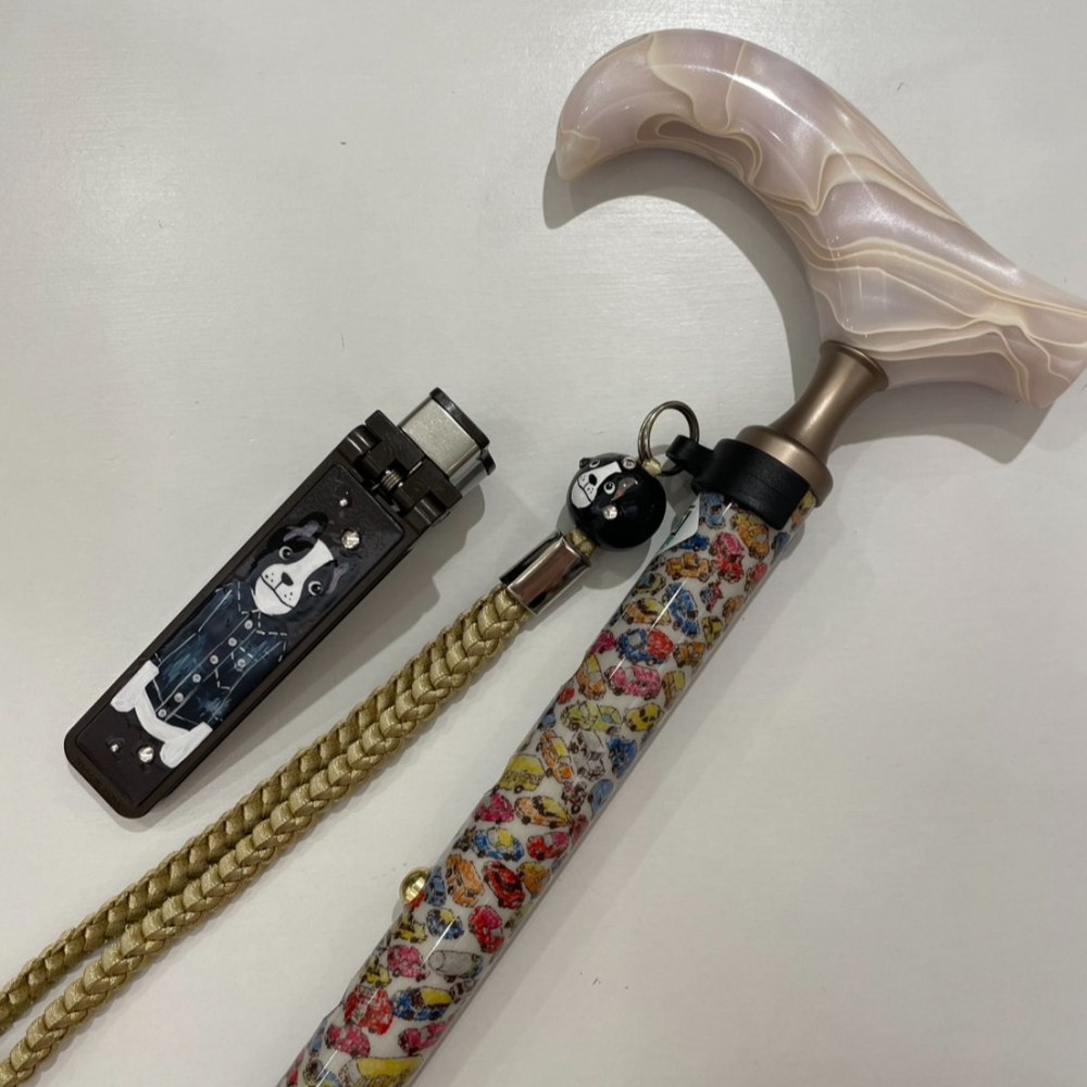 車柄とボストンテリア🐾のかわいい組み合わせ🚗