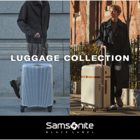 アンモナイト　大　BIG　クリーム×グレー　美しい 上質な旅を彩るスーツケース | Samsonite BLACK LABEL | 大丸心斎橋店