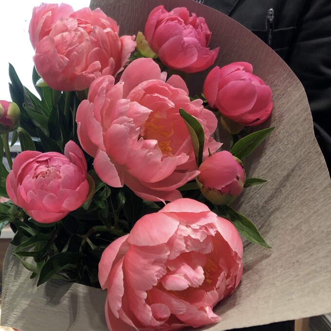 サトウ花店 大丸心斎橋店公式 Shop Blog