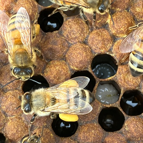 わたしたち「マルチカラー姉妹💛」、参上！！！