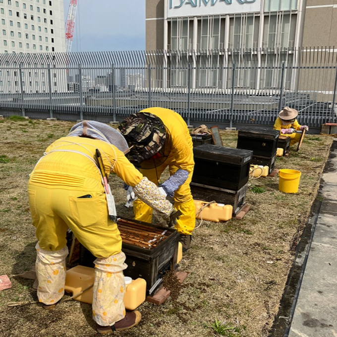 今週も晴天下で内検作業をおこなうことができました☀️