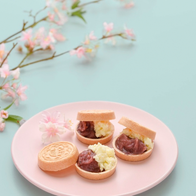 🌸さくらあんぽーね🌸