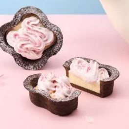 【BtS】🌸ふわりと春めく桜のチーズタルト新登場💗
