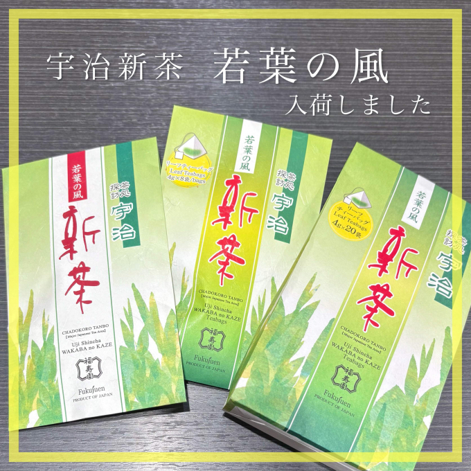 【入荷】宇治新茶 若葉の風 3種🍵