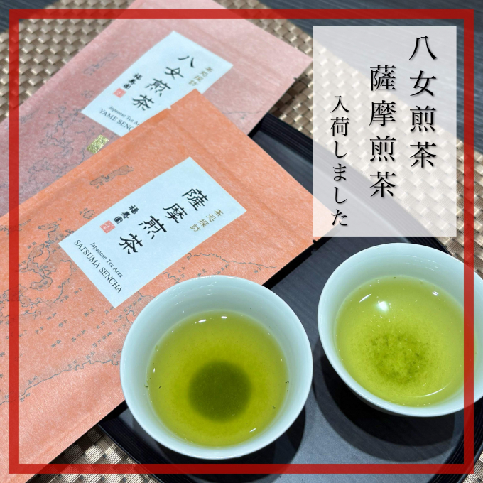 【入荷】八女煎茶・薩摩煎茶🍵