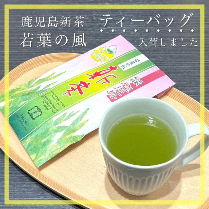 【入荷】鹿児島新茶 若葉の風 ティーバッグ🍵