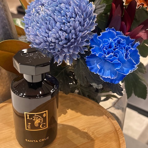 今回は気分転換におすすめの香りをご紹介します！