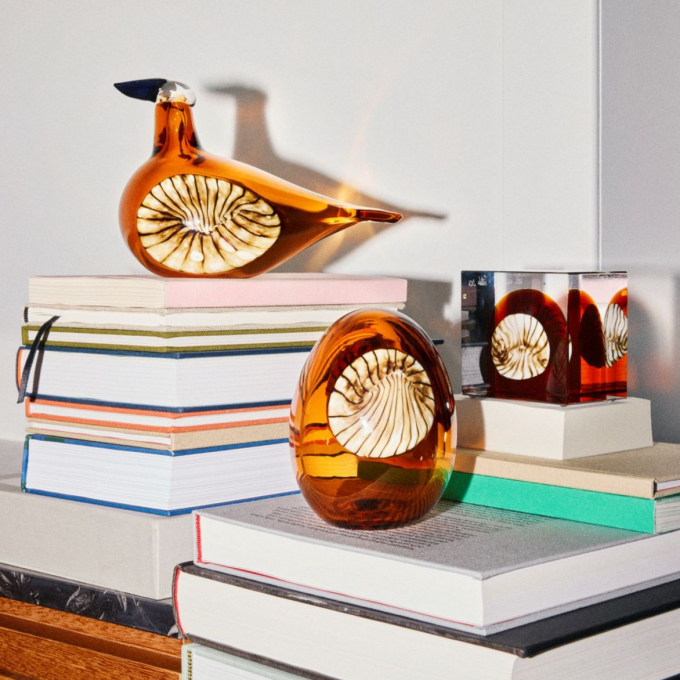 【イッタラ】アニュアルコレクション発売中