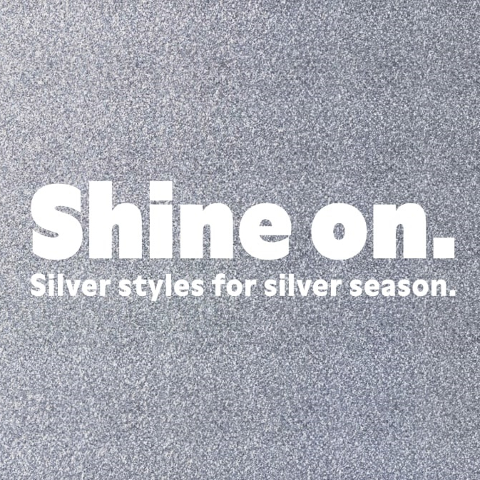 Silver Shoes✨