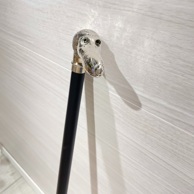 ニューフェイス 🐶木製一本杖のご紹介✨