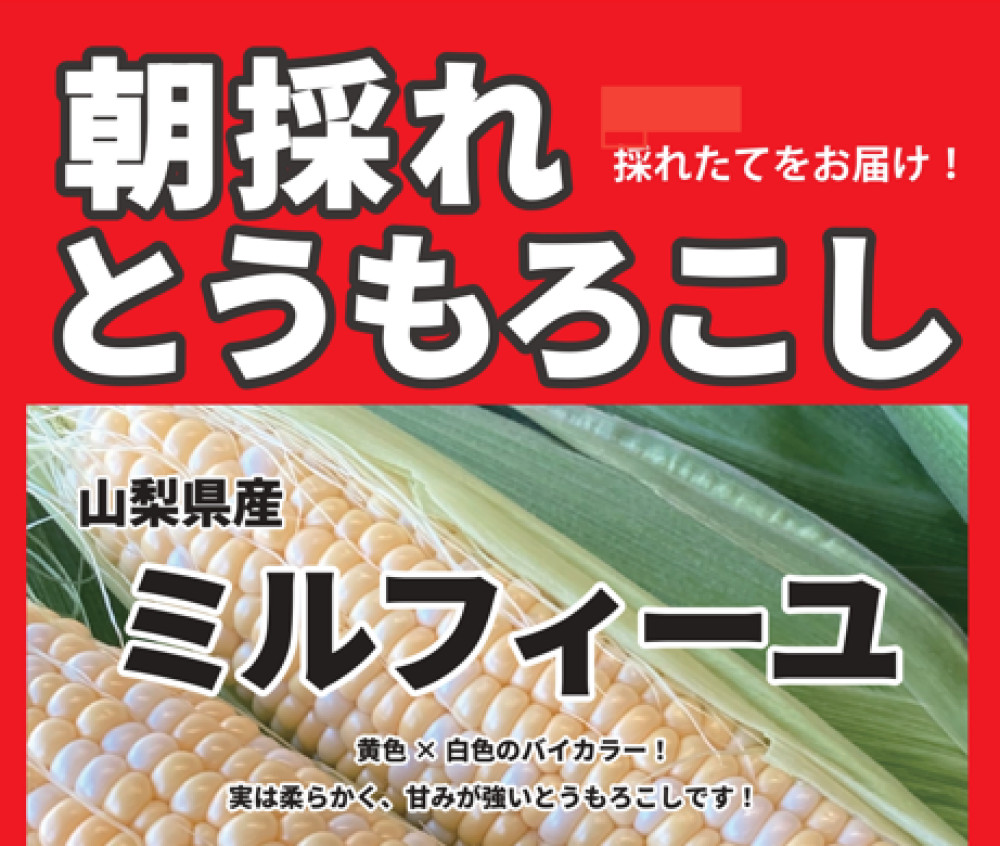 【本館地階　生鮮】朝採れとうもろこし販売！