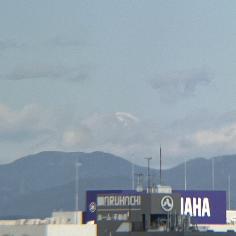 だいたいまいにち富士山｢1月29日」