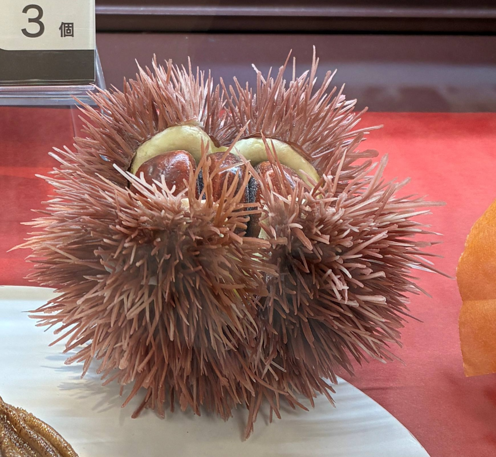 秋の味覚、栗を楽しむ🌰