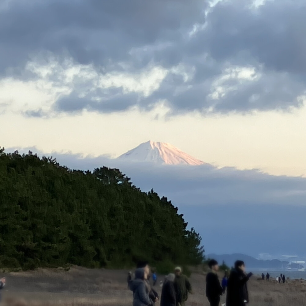 だいたいまいにち富士山｢1月1日」