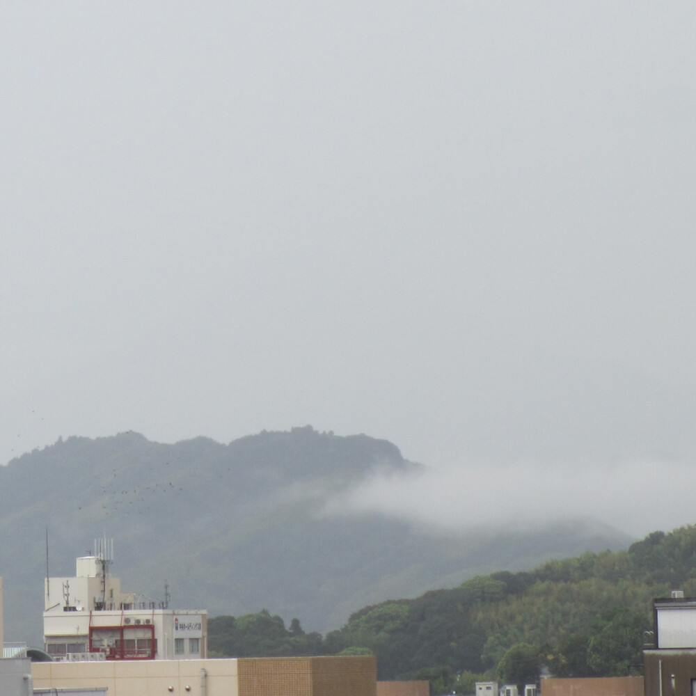 だいたいまいにち富士山｢8月28日」