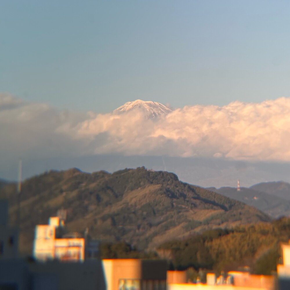 だいたいまいにち富士山｢1月28日」