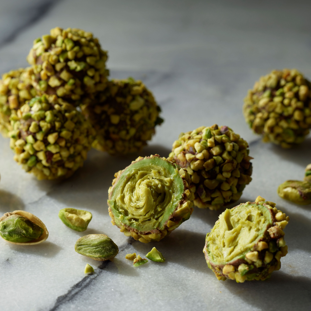 予告【葵テラス】ピスタ アンド トーキョー：PISTA＆TOKYO