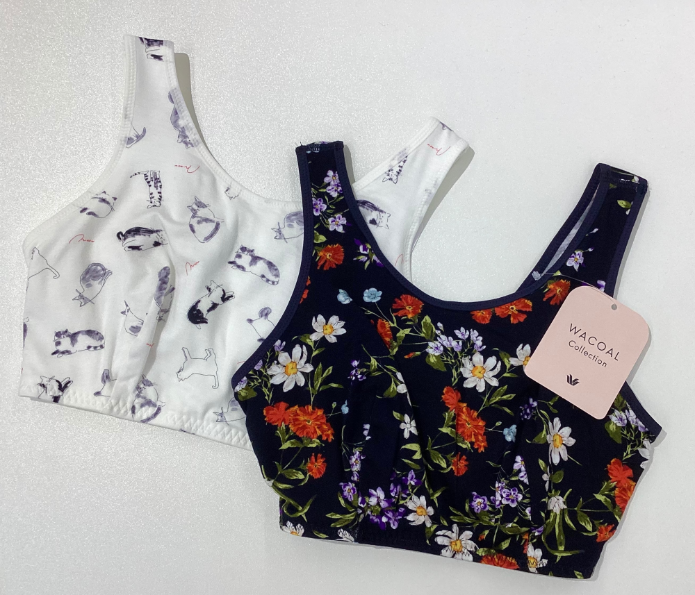 ナイトブラ新色入荷🐈‍⬛🌼