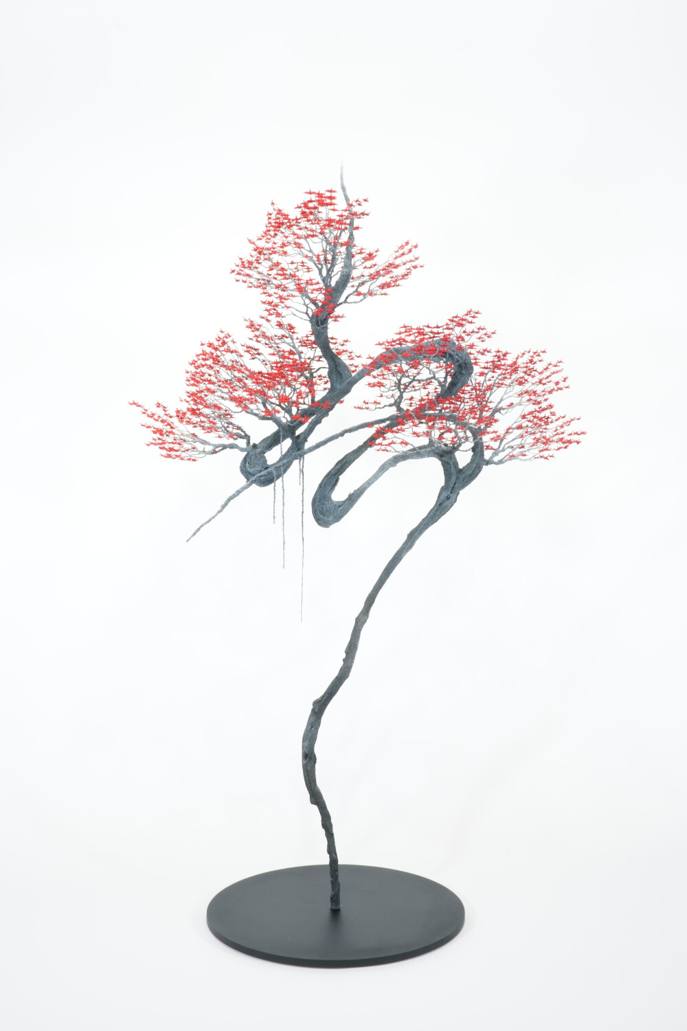 【5月14日(水)～20日(火)】小野川直樹 展　ー彩ー