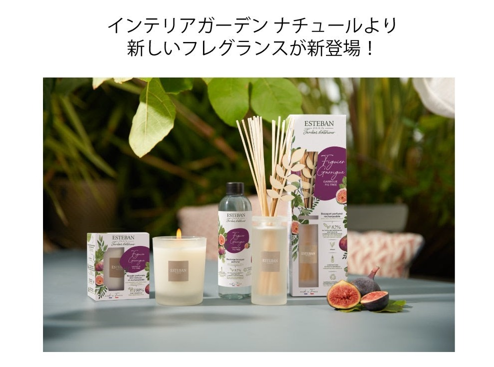 数量限定！【フィグツリー】
