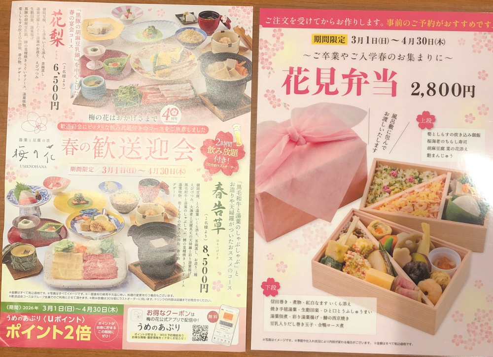 春のおすすめ限定企画ご案内