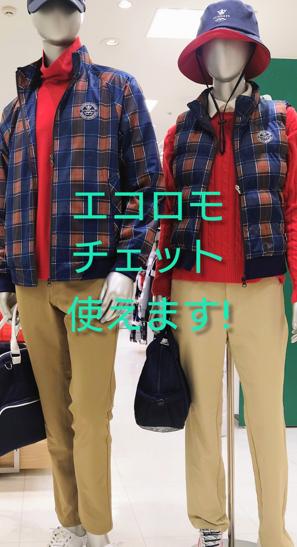 エコロモキャンペーン🌻