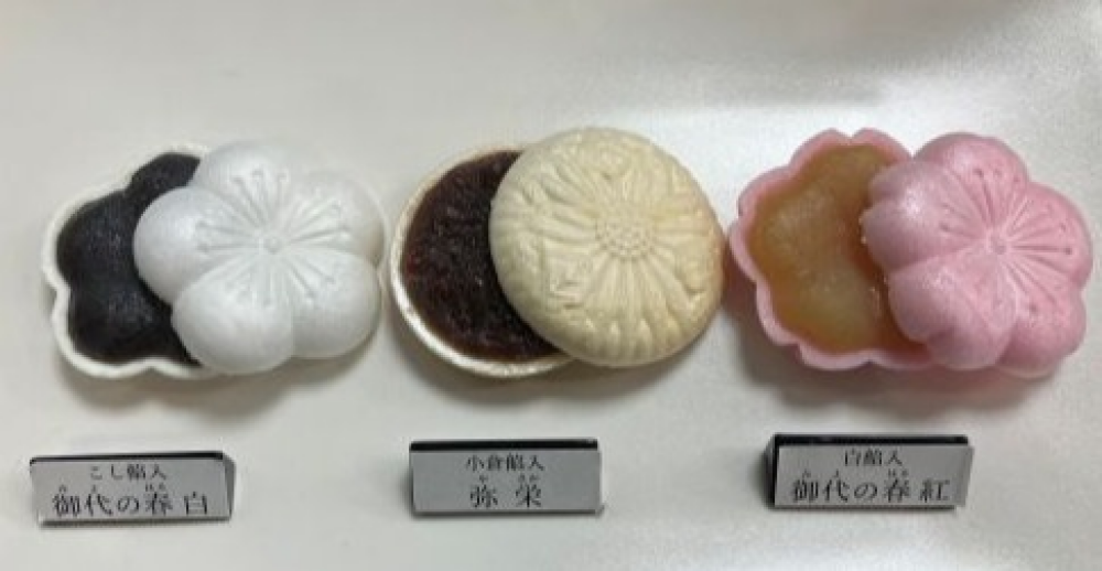 お祝いに最中🌸