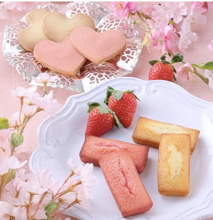 春です！