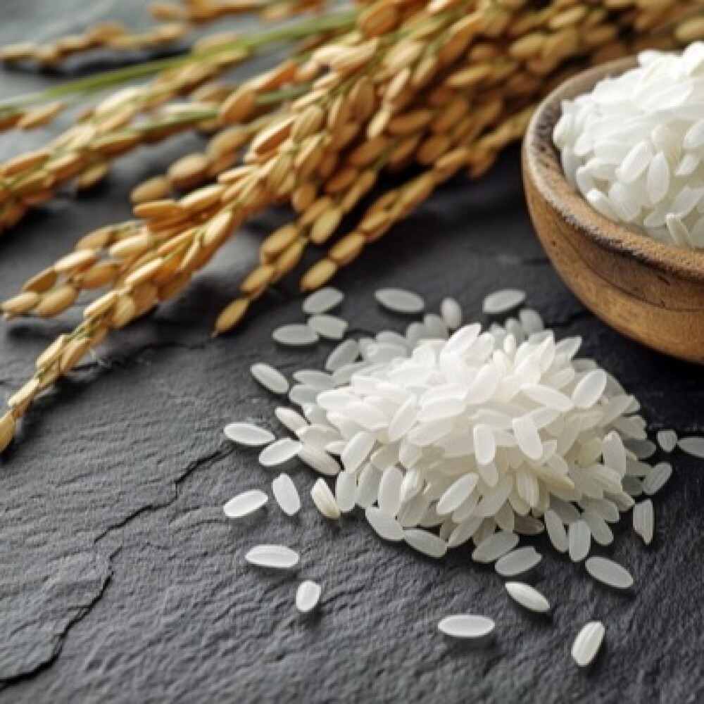 新米🌾入荷しました❗